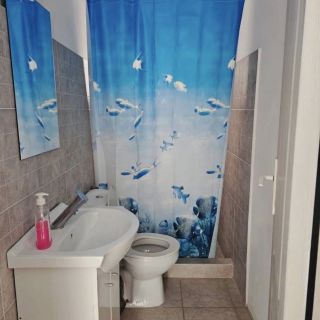 Apartament Cazare Costineşti (4)