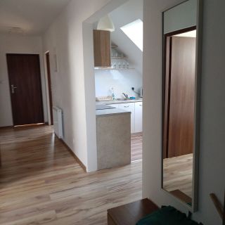 Dom gościnny Bratek Gdańsk (3)
