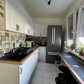 Tulipán Apartman Csongrád (5)