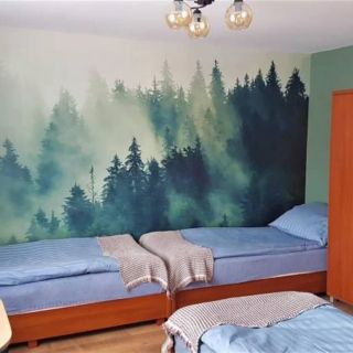 Pokoje Gościnne Zamiejska (4)