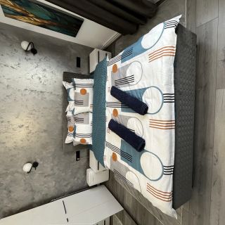 Ideal House Rent Petroşani (3)
