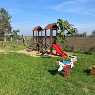 Kovács tanya- Kunmadaras (5)