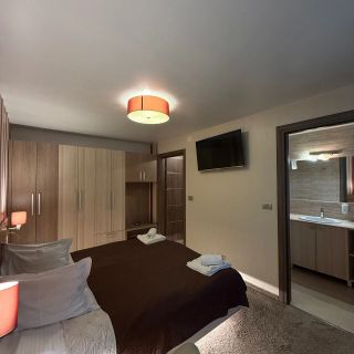 Apartamente Casa Romaneasca Băile Felix (5)