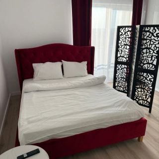 Apartament Jacuzzi Romantic Timișoara (4)