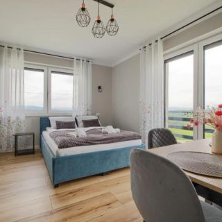 Noclegi Sunny House Witanowice (2)