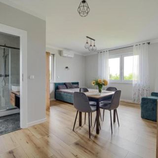 Noclegi Sunny House Witanowice (3)