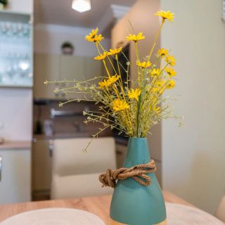 Dalma Apartman Siófok (4)
