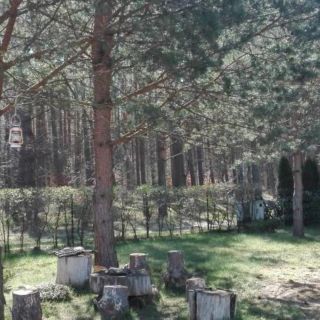 Dom Białógórska Kajuta Białogóra (5)