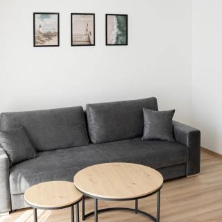 Apartamenty Chłapowo (3)