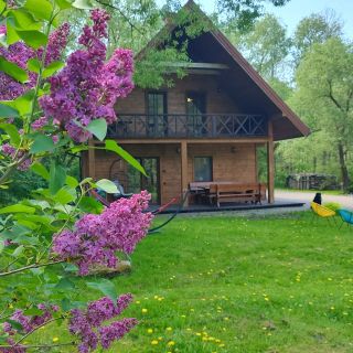 Willa Bobrowa Dolina Biebrza Goniądz (2)