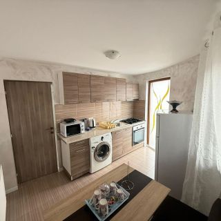 Vila Dari Tulcea (4)