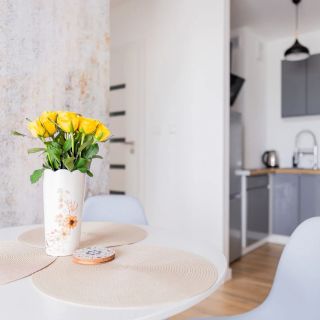 Apartament Roma (5)