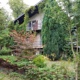 Pokoje i apartamenty przy Sosnowej Poddąbie (3)