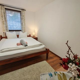 Casa Sofia Băile Homorod (5)