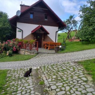 Chatka Milkowska Wisła (3)