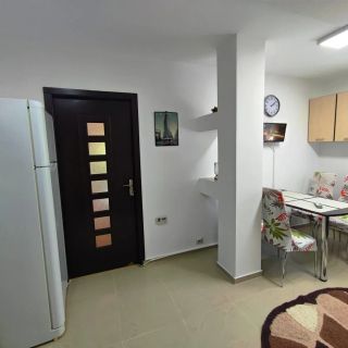 Apartament Deea Orșova (4)
