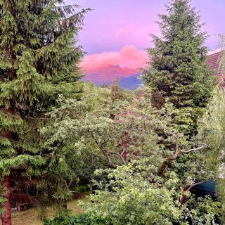 Acasă la Bran Bran (2)