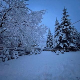 Acasă la Bran Bran (3)