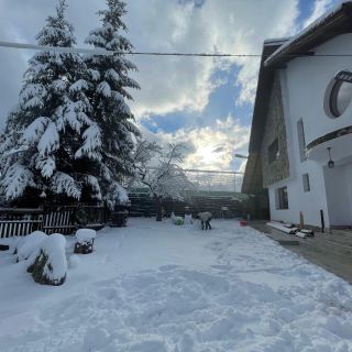 Acasă la Bran Bran (4)
