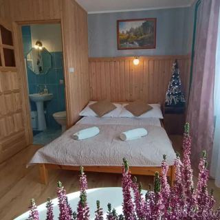 Pokoje gościnne u Danuty Gliczarów Górny (4)