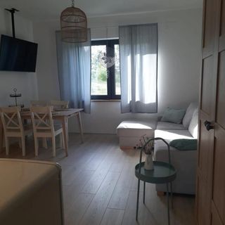 Biała Czapla Augustów (4)