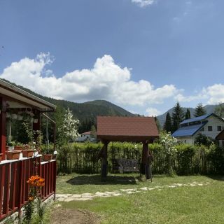 Căsuța de la Munte Lepșa (5)