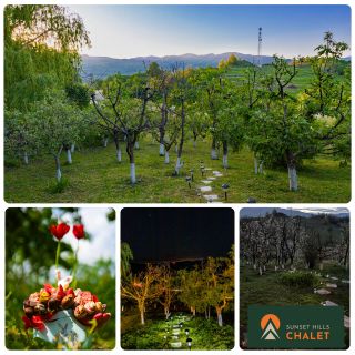 Sunset Hills Chalet Slănic (3)