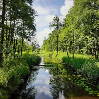 Nasze Podlasie (2)