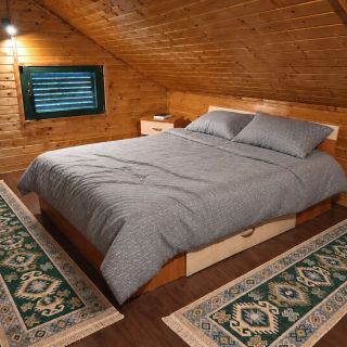Casa Salciile Sălciile (3)