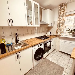 Casa Steffi București (3)