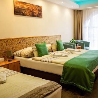 Zenit Panzió Miskolctapolca (5)