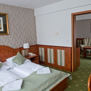 Toldi Fogadó**** Tokaj (4)