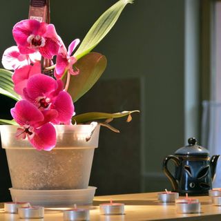 Flamingó Vendégház Eger (3)