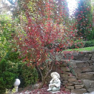 Cecey Vendégház Eger (5)