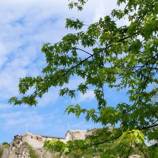 Vár Camping Sirok (5)