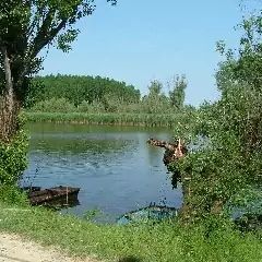 D K Panzió Fadd (3)