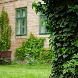 Erdőfi Major Vendégház Kölked-Erdőfű (2)