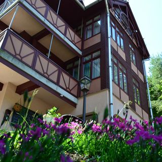 Ezüstfenyő Hotel Telkibánya (3)