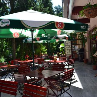 Ezüstfenyő Hotel Telkibánya (5)