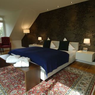 Hubertus Hof Landhotel Balatonfenyves (4)