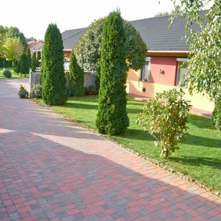 Homokháti Vendégház és Pálma Apartmanok Mórahalom (3)