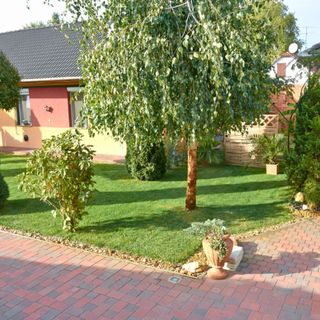 Homokháti Vendégház és Pálma Apartmanok Mórahalom (4)