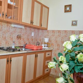 Homokháti Vendégház és Pálma Apartmanok Mórahalom (5)