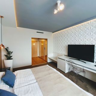 Hotel Bodrog Wellness & Elix Spa Sárospatak (4)