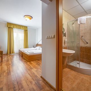 Nefelejcs Hotel Mezőkövesd (3)