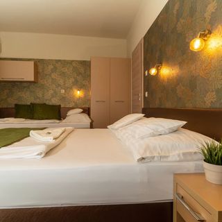 Teátrum Panzió és Étterem Győr (4)