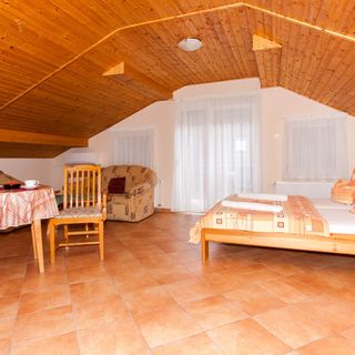 Williams Haus 2 Hévíz (5)