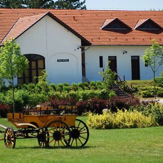 Sarlóspuszta Club Hotel Tatárszentgyörgy (2)