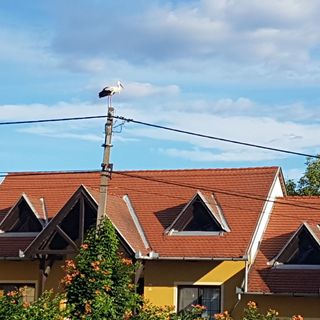 Huber Vendégszobák Fertőrákos (4)