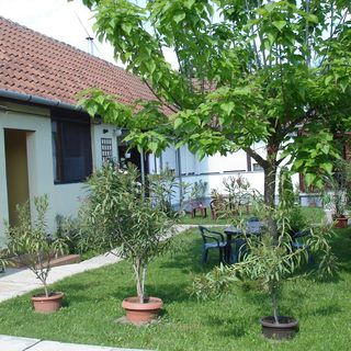 Rózsa Apartman Gyula (3)